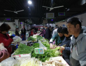 郑州菜市场爆料新闻报道,新鲜事连连，民生百态尽收眼底